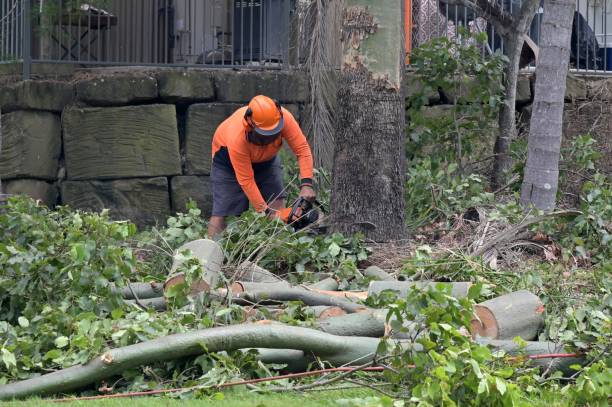 Best Utility Line Clearance  in Cottage Lake, WA